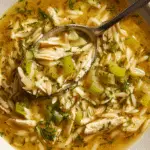 Lemony Chicken and Orzo Soup