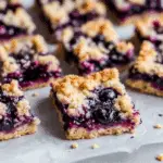 Blueberry Crumb Bars