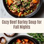 Pioneer Woman Beef Barley Soup Recipe
