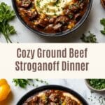Ground Beef Stroganoff Recipe