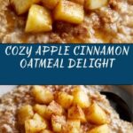 Apple Cinnamon Oatmeal on the Stove Recipe