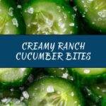 Ranch Cucumber Bites Recipe